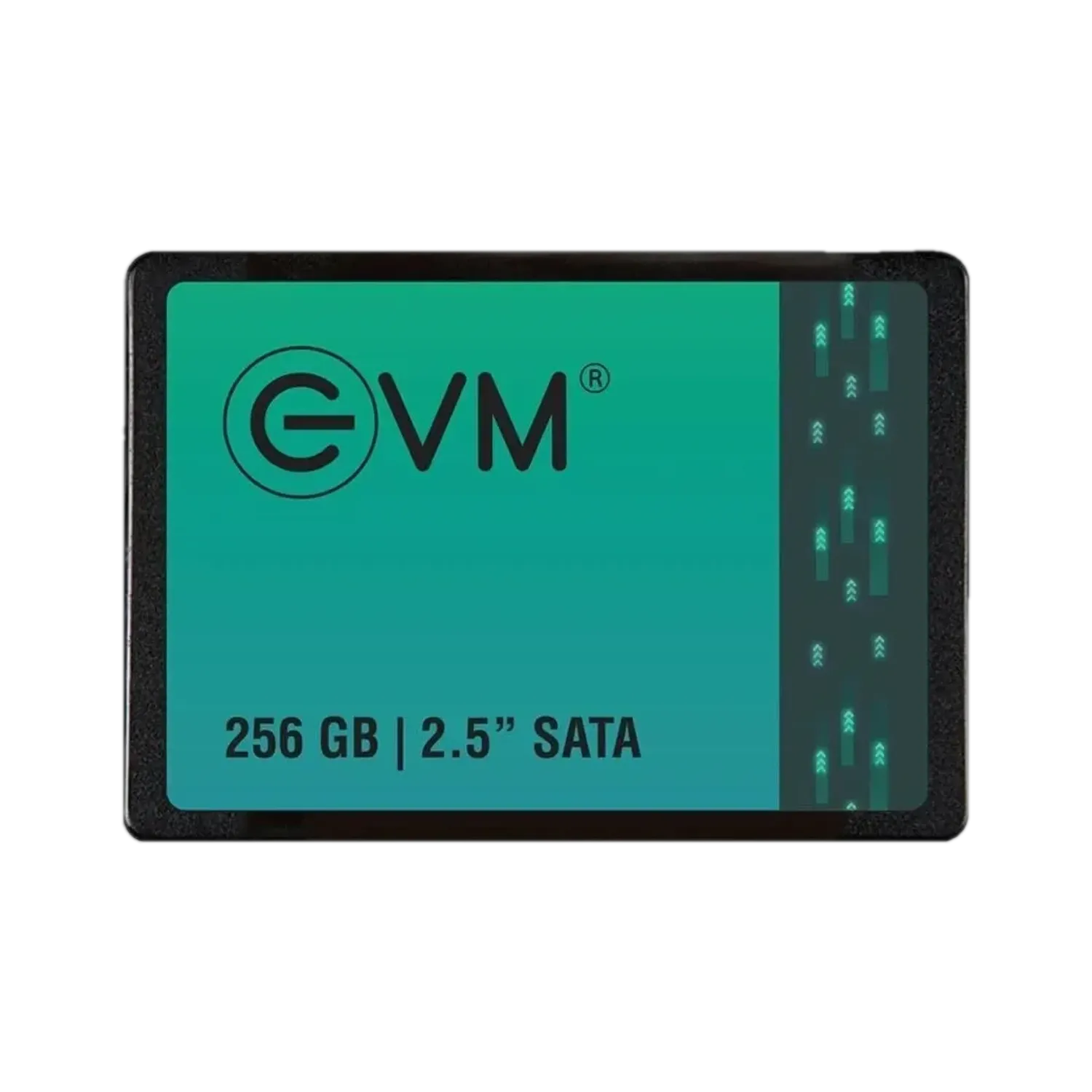 EVM EVM25 256 GB Black