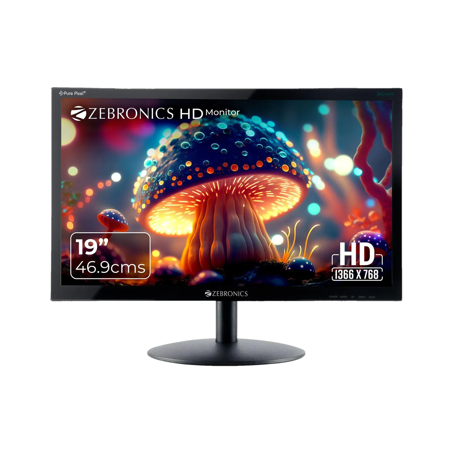 ZEBRONICS ZEB-V19HD LED